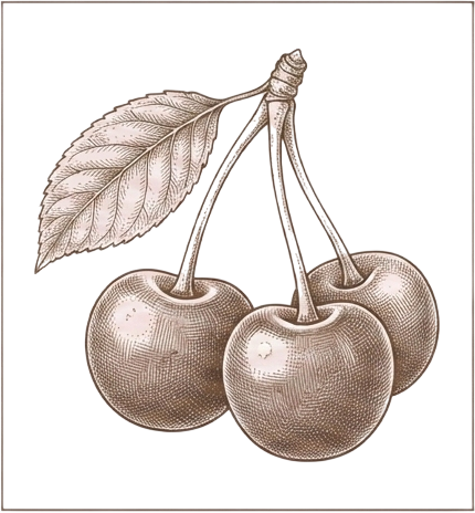 Cherry